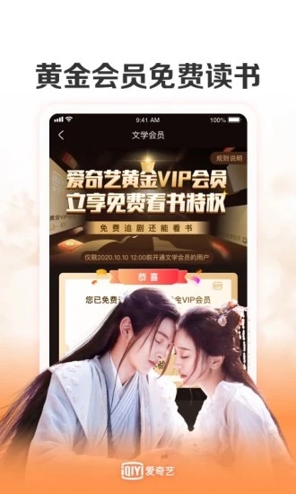 爱奇艺播放器下载