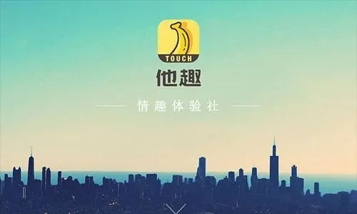 他趣怎么设置隐身状态