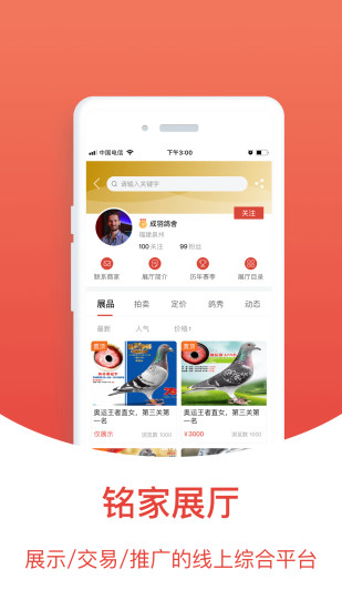 赛鸽头条app破解版破解版