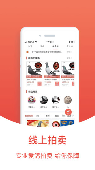 赛鸽头条app破解版免费版本
