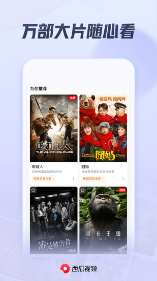 西瓜视频官方版免费版本
