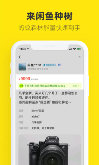 闲鱼破解版破解版
