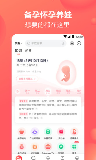 宝宝树孕育官方最新版