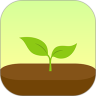 forest官方下载ios