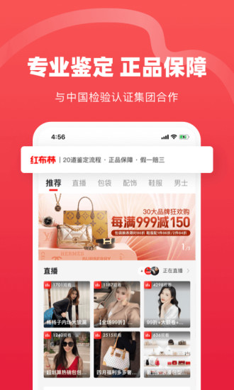 红布林ios下载