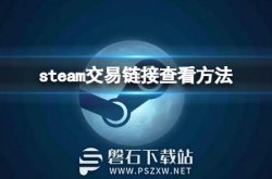 steam交易链接看不了怎么办-steam交易链接无法查看解决方法